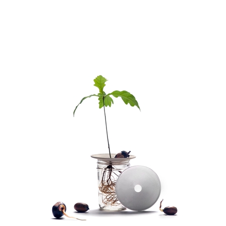 Assiette en porcelaine a germer S