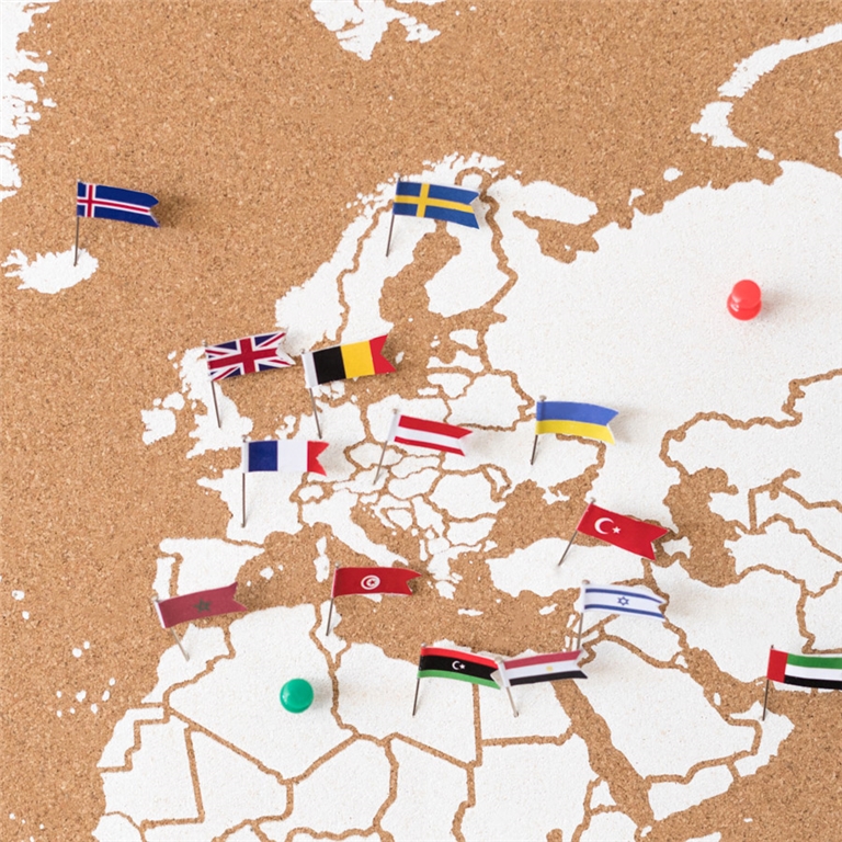 Punaises pour la carte en liège avec des drapeaux de l'Europe