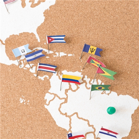 Punaises pour la carte en liege avec des drapeaux du monde