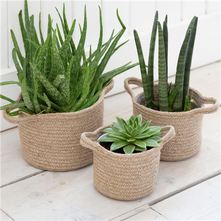 Lot de 3 couvre-pots de fleurs tissés