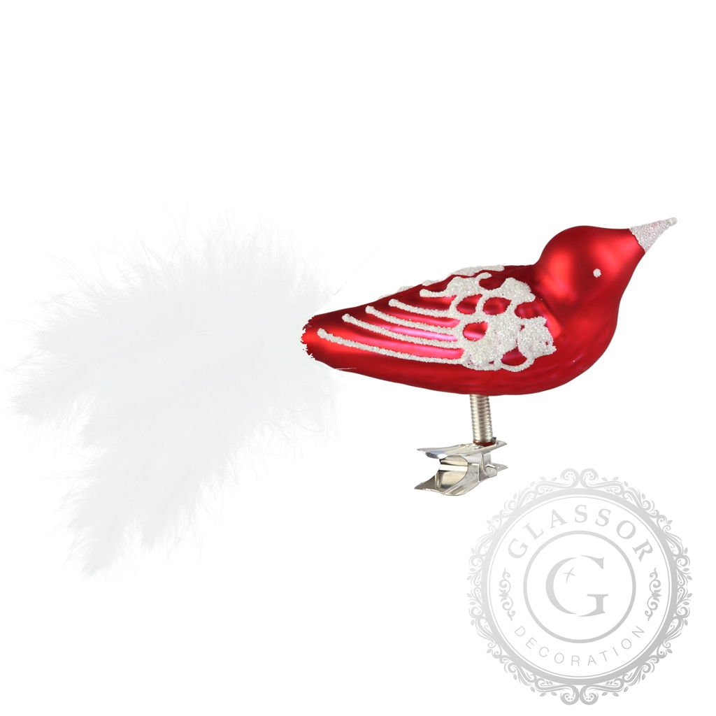 Oiseau rouge aux plumes blanches