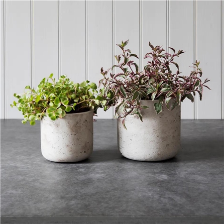 Ensemble de pots de fleurs en ciment
