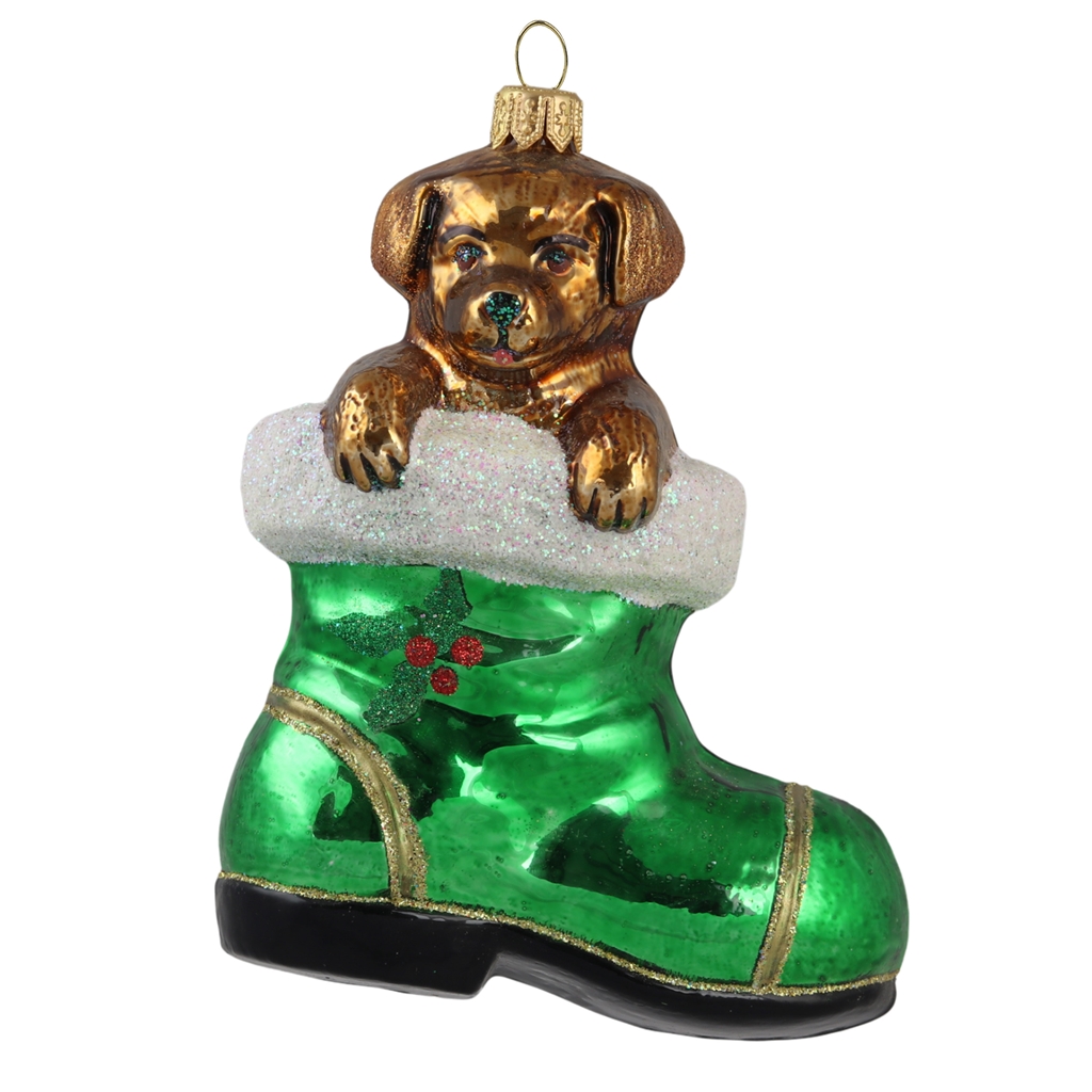 Chiot dans une chaussure verte