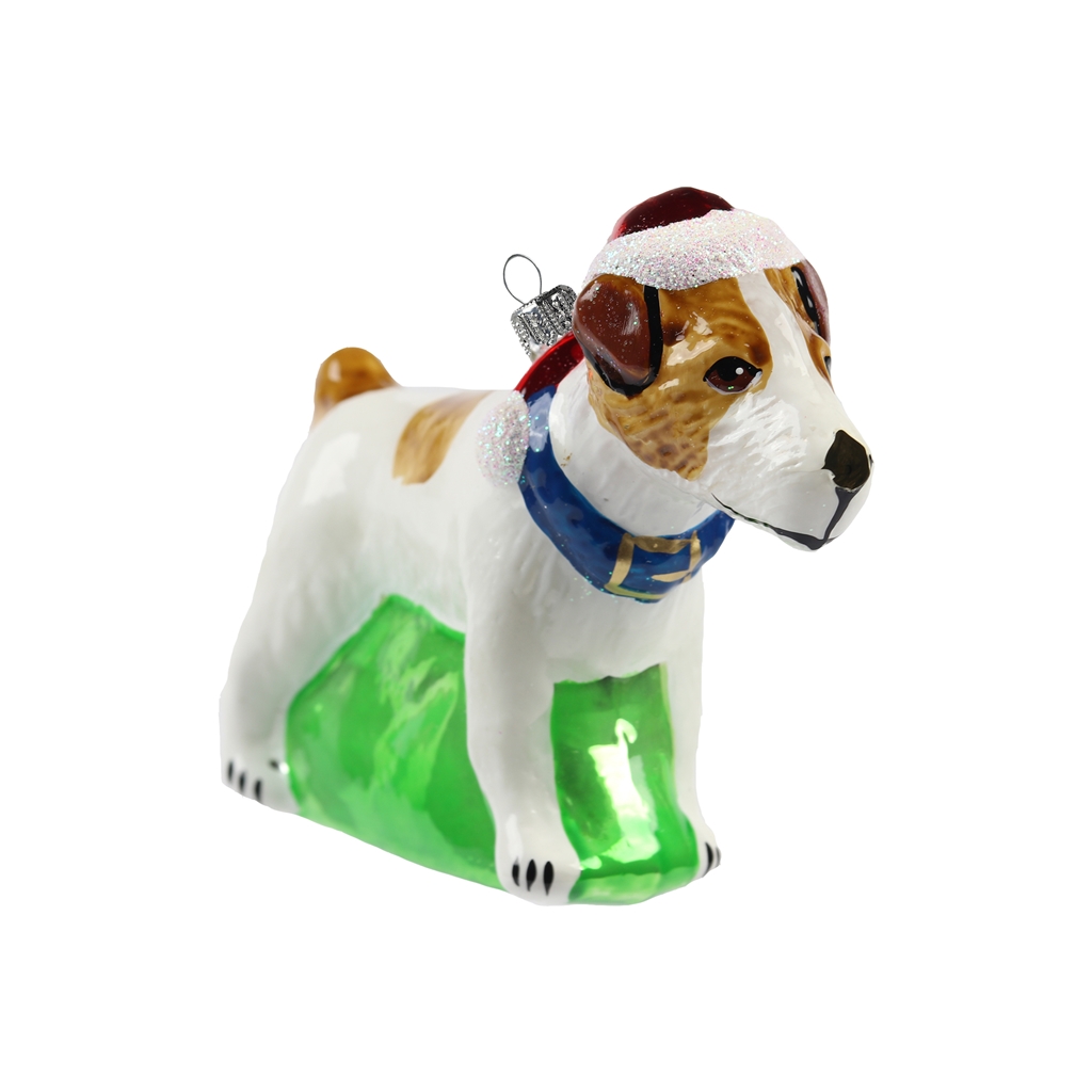 Chien Jack Russel