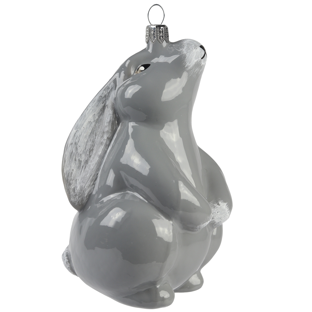 Oreilles de lapin grises