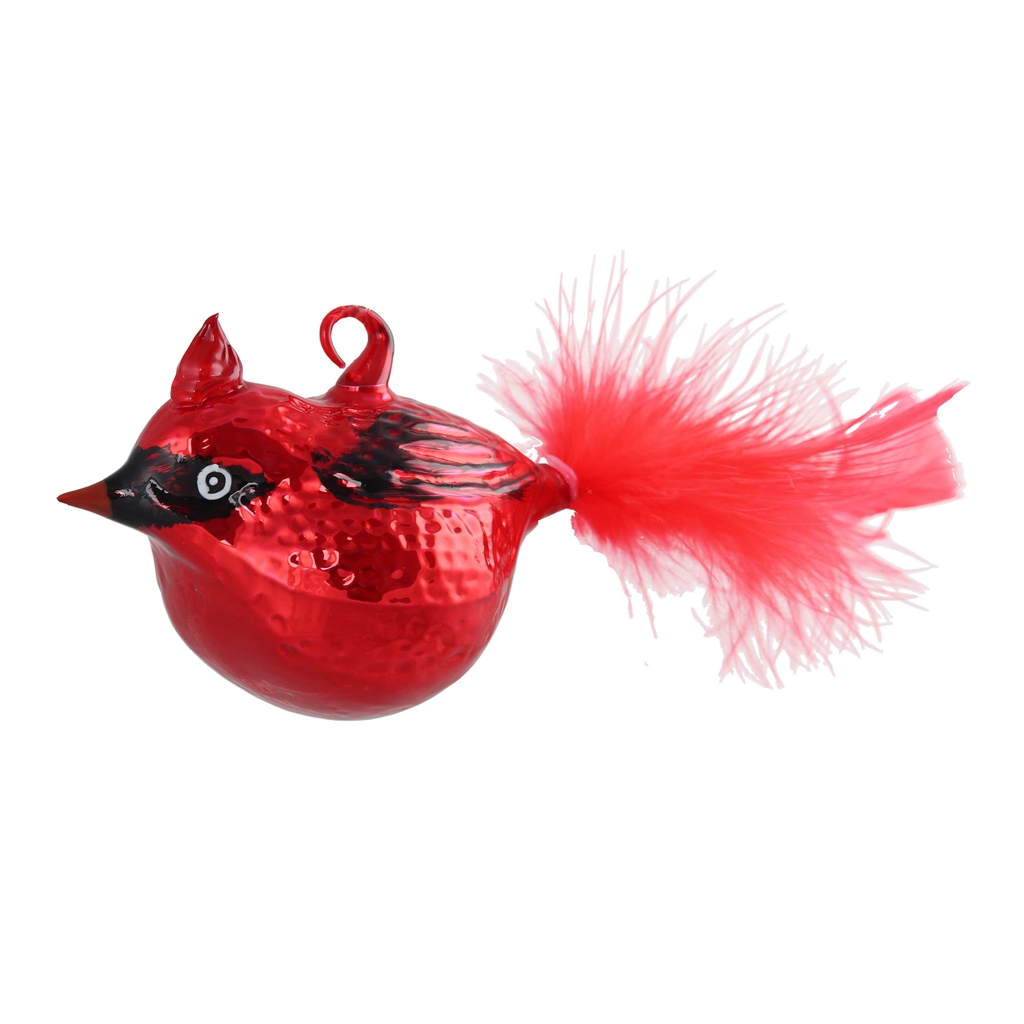 Oiseau rouge Cardinal avec huppe