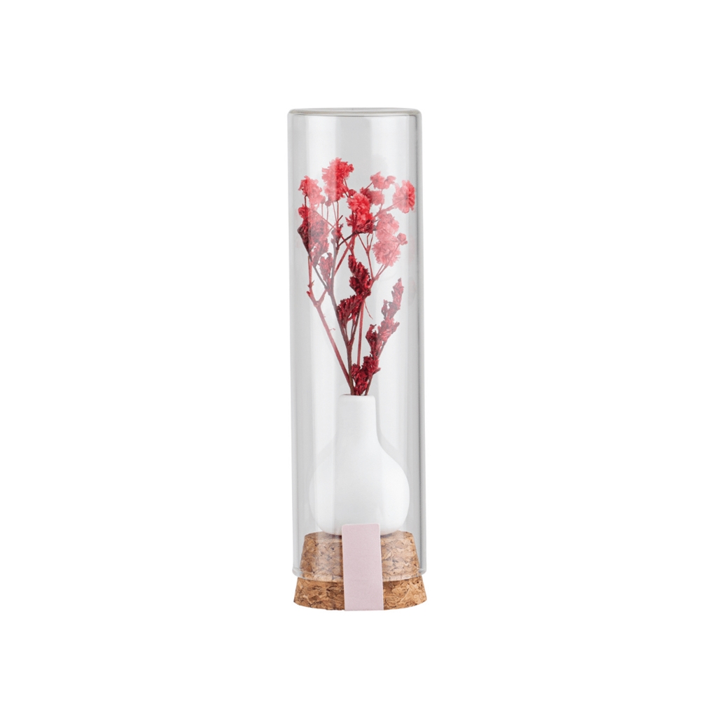 Fleur cadeau en tube de verre rouge