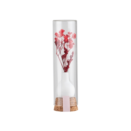 Fleur cadeau en tube de verre rouge