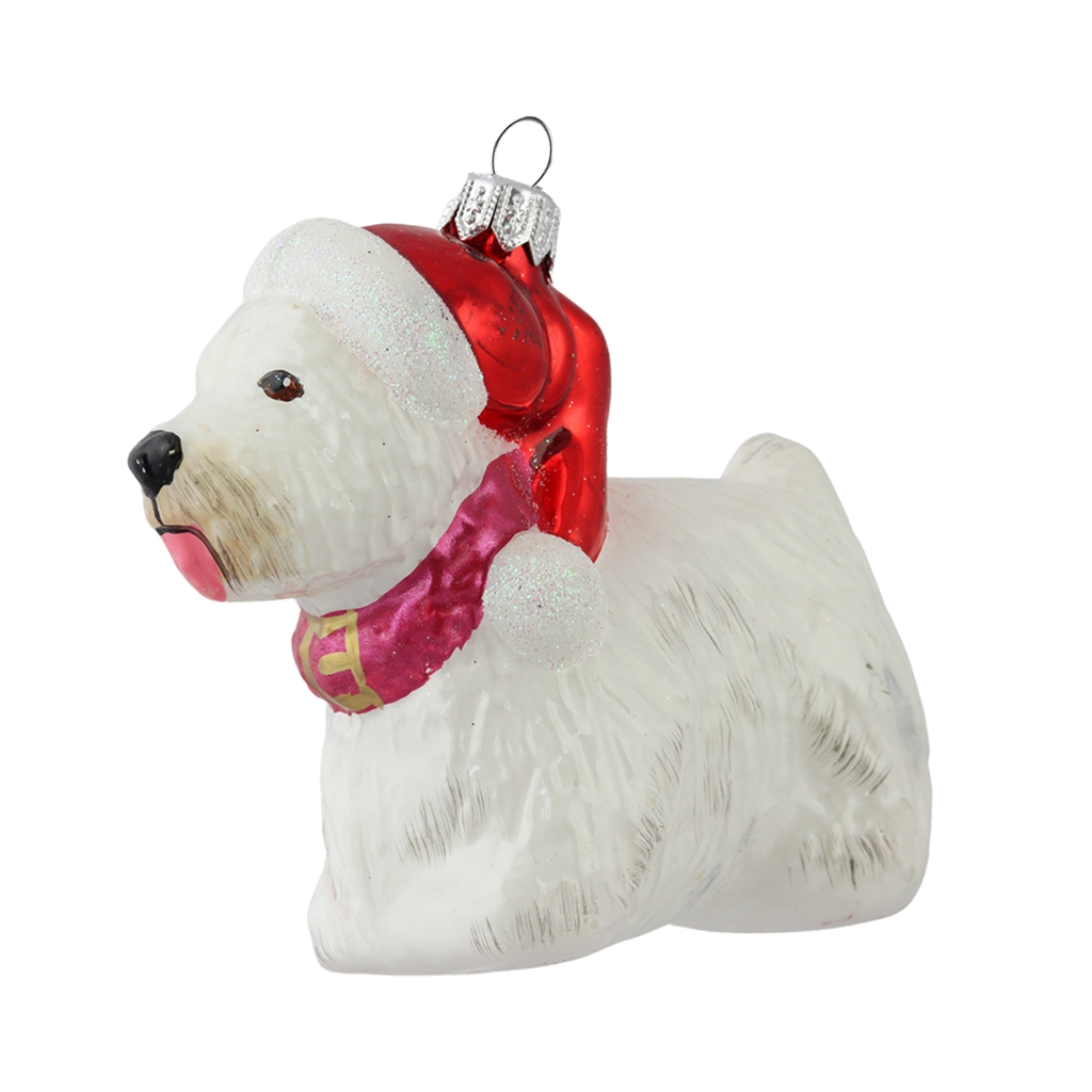 Chien Westie avec bonnet rouge