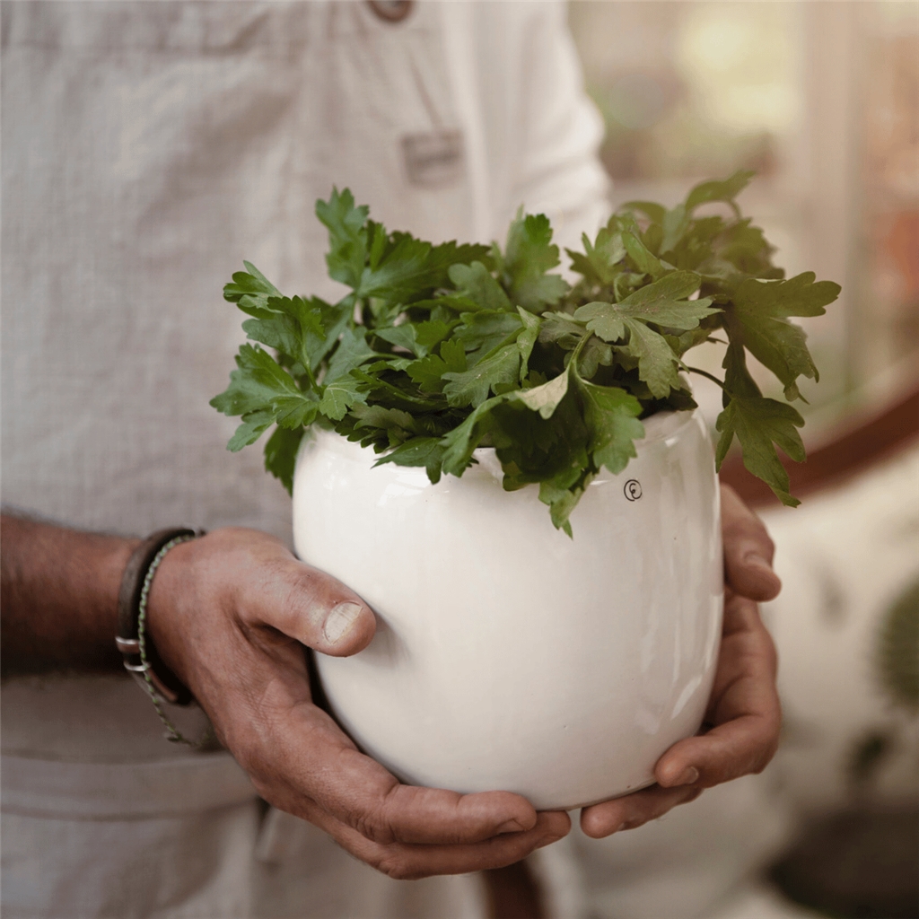 Pot de fleur en grès