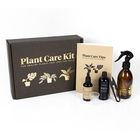 Coffret d'entretien pour plantes