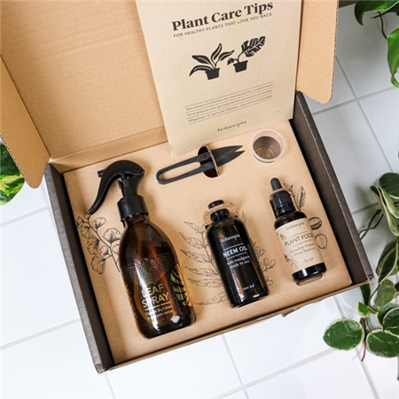 Coffret d'entretien pour plantes
