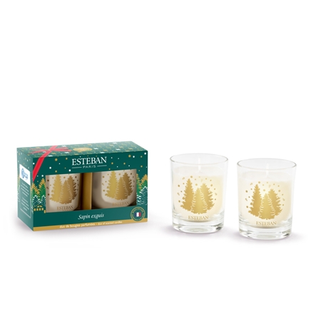 Coffret de mini bougies Sapin Exquis