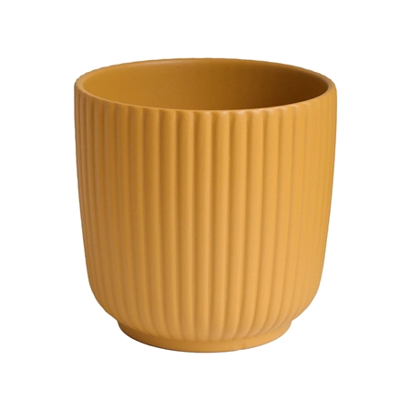 Pot de fleur moutarde Luna