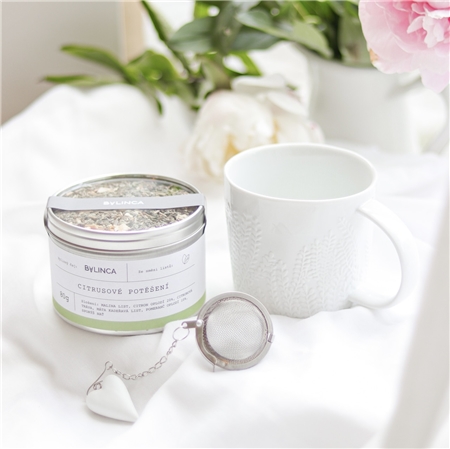 Tasse avec des fougeres