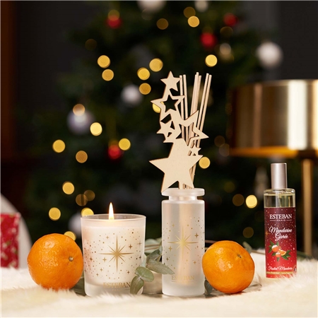 Diffuseur bâton Mandarine Givrée