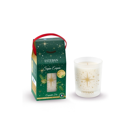 Bougie parfumée Sapin Exquis