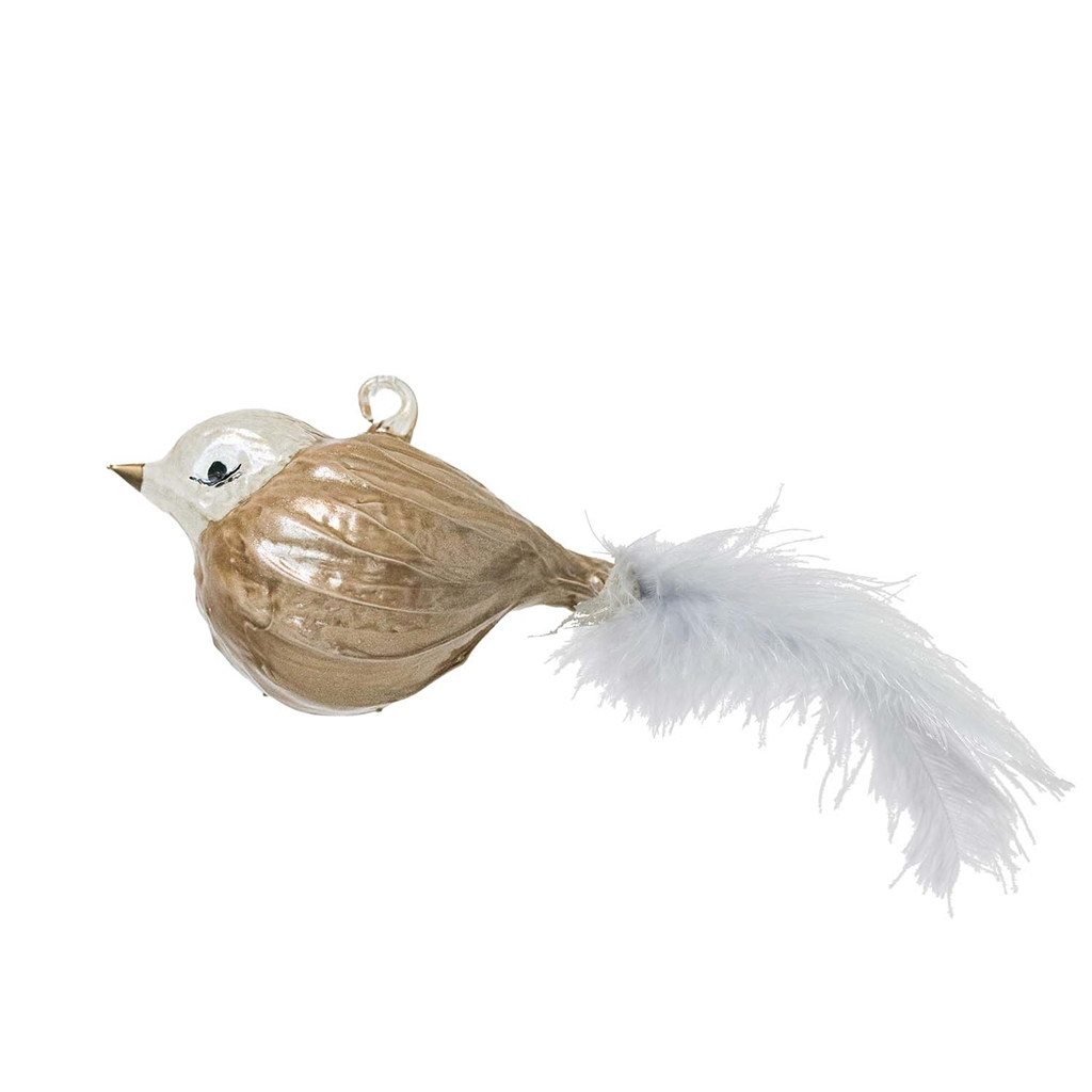 Oiseau doré dodu