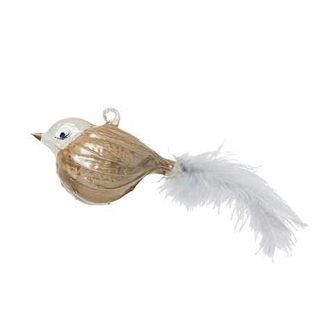 Oiseau doré dodu