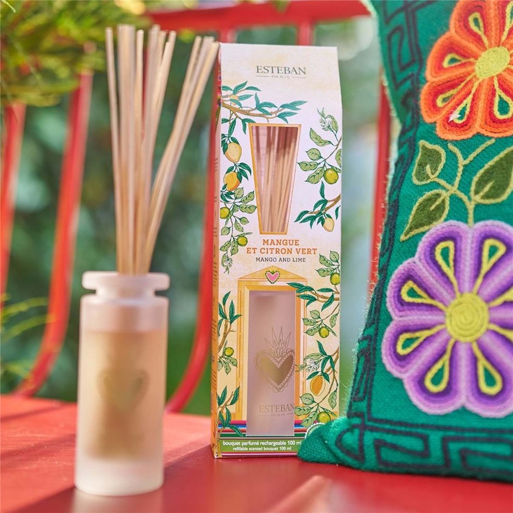 Diffuseur en bâton Mangue et Citron vert