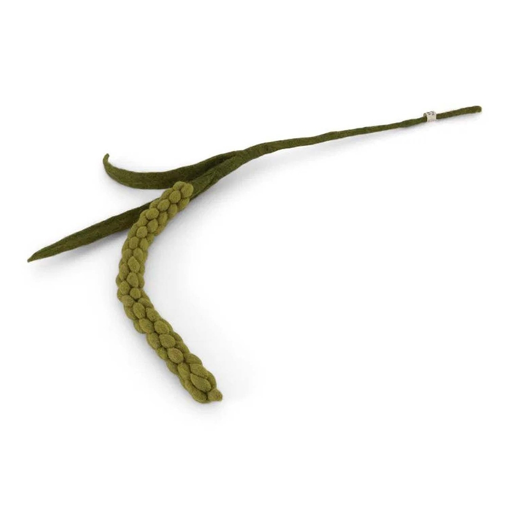 Branche de feutre de l'amarante