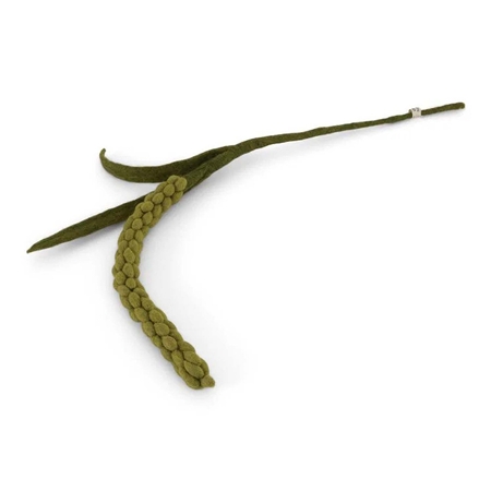 Branche de feutre de l'amarante