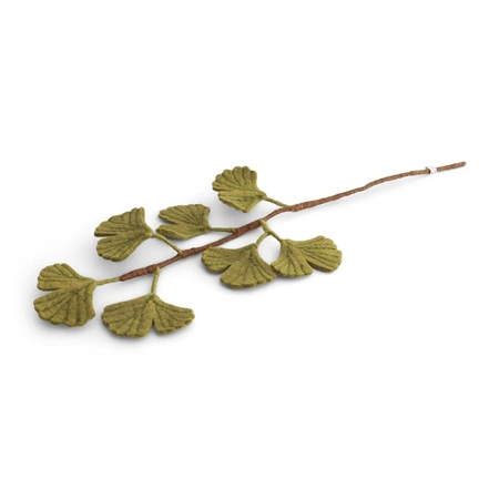 Brindille feutrée de Ginkgo biloba