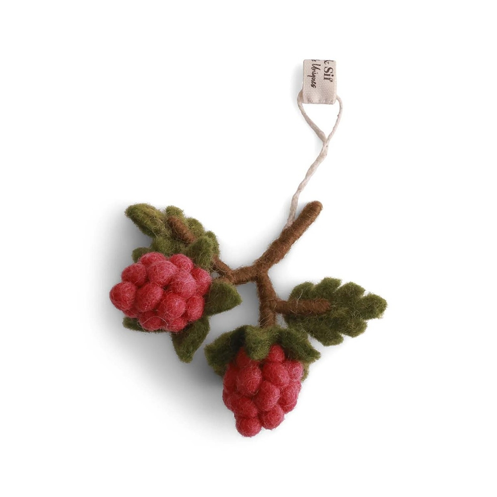Feutre framboise